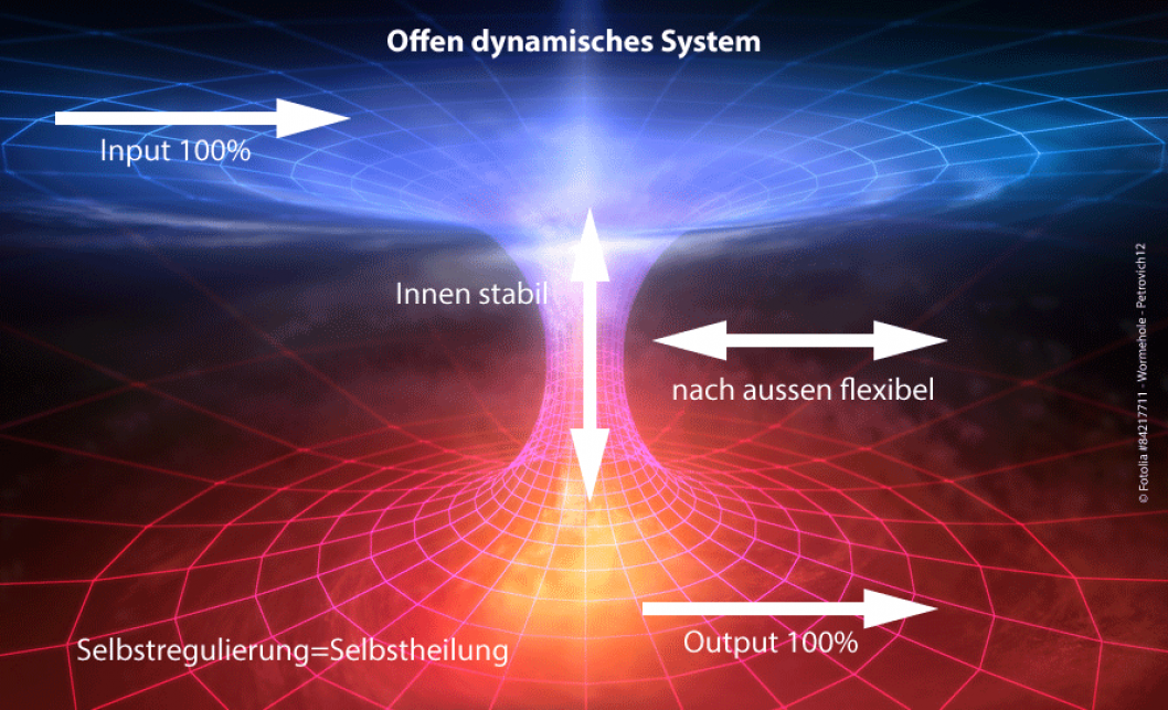 offenes-System2.png